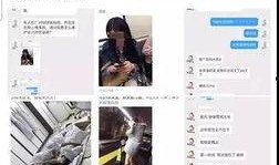 日媒营销号爆料视频,营销号爆料视频背后的真相与内幕