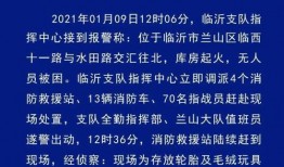 临沂最新爆料视频,揭秘背后惊人真相！